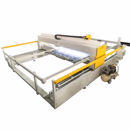 Trapuntatrice ad ago singolo completamente automatica per la produzione di pelle